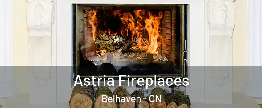  Astria Fireplaces Belhaven - ON
