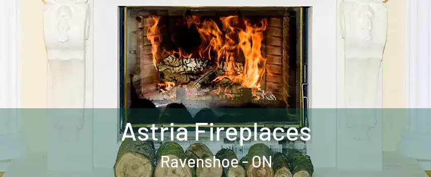  Astria Fireplaces Ravenshoe - ON