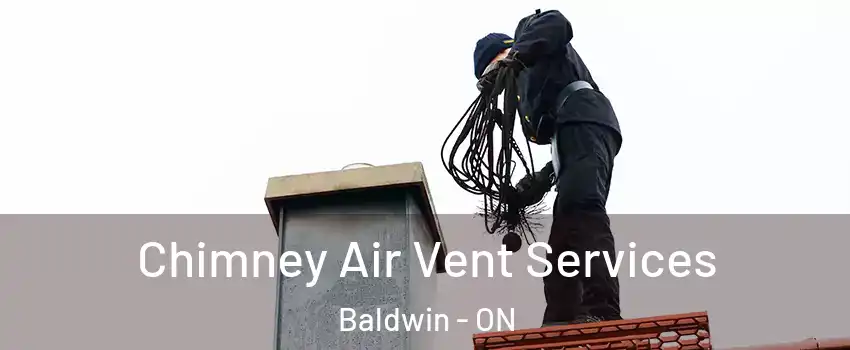  Chimney Air Vent Services Baldwin - ON