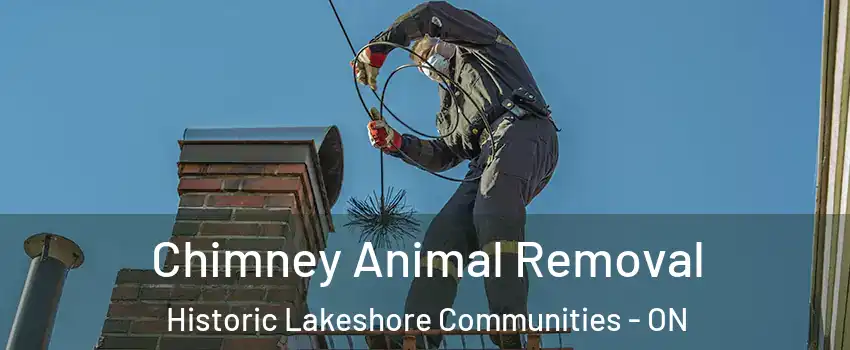  Chimney Animal Removal Historic Lakeshore Communities - ON