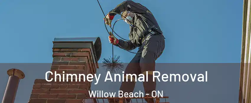  Chimney Animal Removal Willow Beach - ON