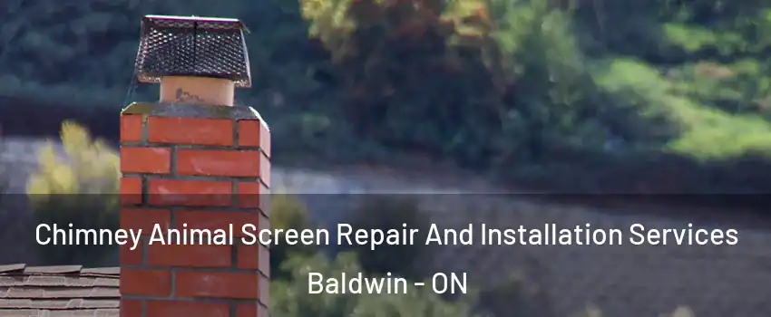  Chimney Animal Screen Repair And Installation Services Baldwin - ON
