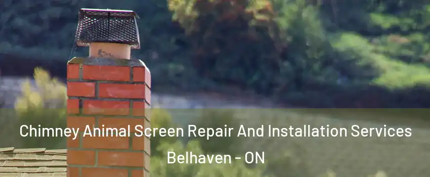  Chimney Animal Screen Repair And Installation Services Belhaven - ON