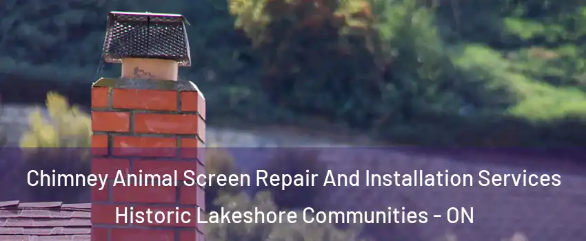  Chimney Animal Screen Repair And Installation Services Historic Lakeshore Communities - ON
