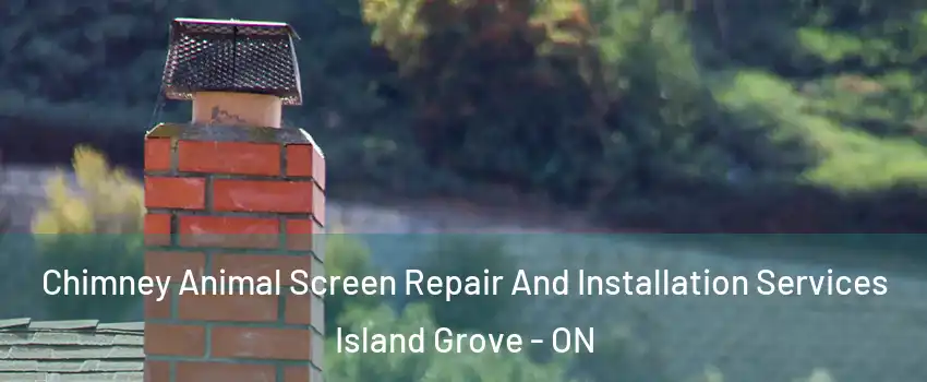  Chimney Animal Screen Repair And Installation Services Island Grove - ON