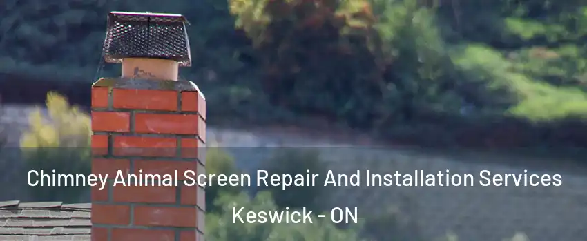  Chimney Animal Screen Repair And Installation Services Keswick - ON