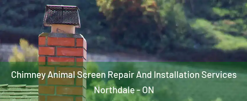  Chimney Animal Screen Repair And Installation Services Northdale - ON