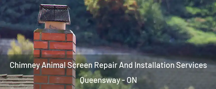  Chimney Animal Screen Repair And Installation Services Queensway - ON