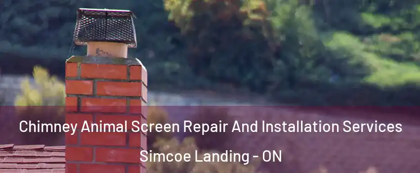  Chimney Animal Screen Repair And Installation Services Simcoe Landing - ON