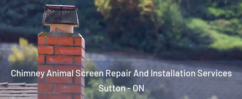  Chimney Animal Screen Repair And Installation Services Sutton - ON