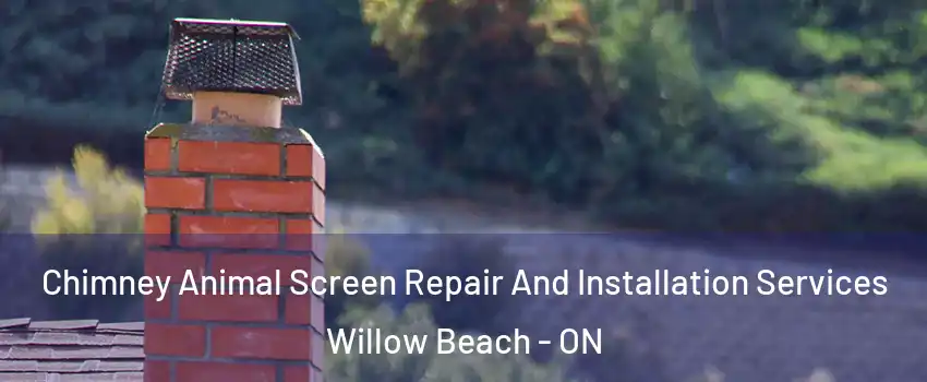  Chimney Animal Screen Repair And Installation Services Willow Beach - ON