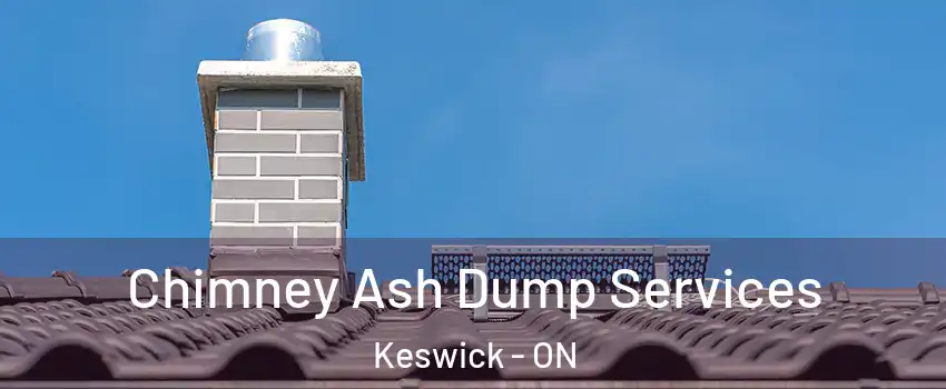  Chimney Ash Dump Services Keswick - ON