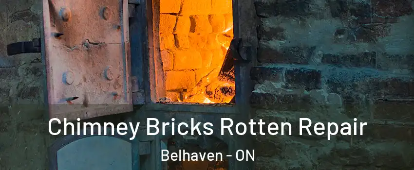  Chimney Bricks Rotten Repair Belhaven - ON