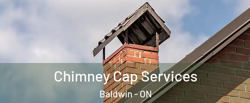  Chimney Cap Services Baldwin - ON