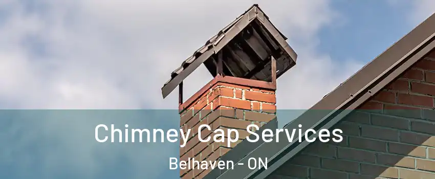  Chimney Cap Services Belhaven - ON