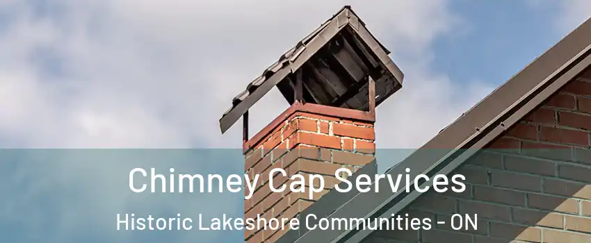  Chimney Cap Services Historic Lakeshore Communities - ON