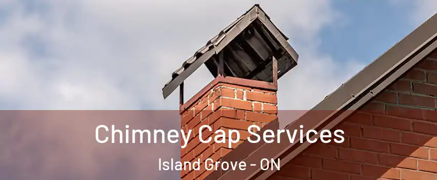  Chimney Cap Services Island Grove - ON