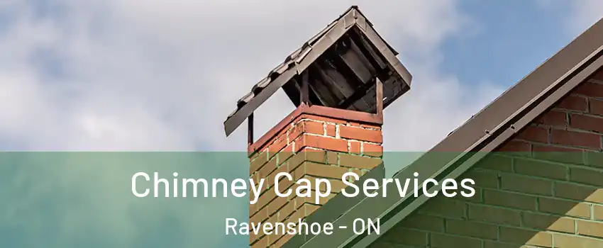  Chimney Cap Services Ravenshoe - ON