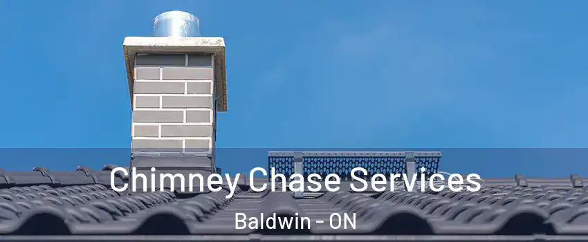  Chimney Chase Services Baldwin - ON