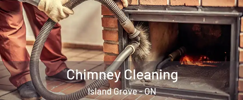  Chimney Cleaning Island Grove - ON