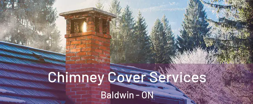  Chimney Cover Services Baldwin - ON