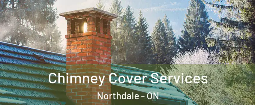  Chimney Cover Services Northdale - ON