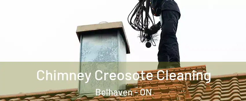  Chimney Creosote Cleaning Belhaven - ON