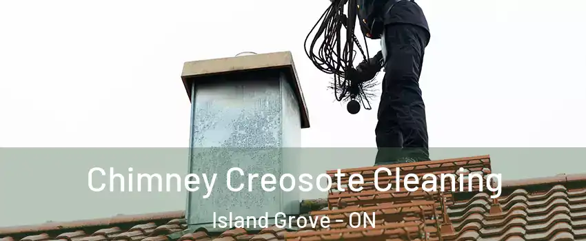  Chimney Creosote Cleaning Island Grove - ON