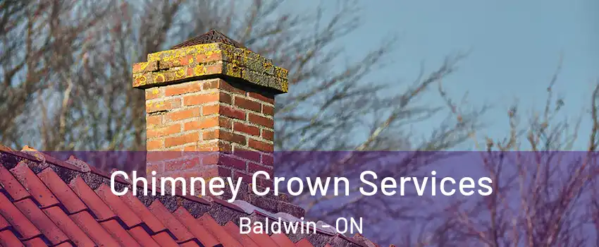  Chimney Crown Services Baldwin - ON