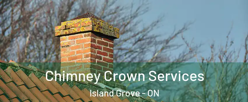  Chimney Crown Services Island Grove - ON