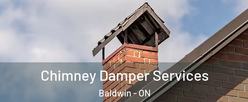  Chimney Damper Services Baldwin - ON