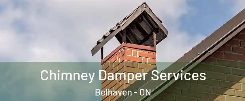  Chimney Damper Services Belhaven - ON