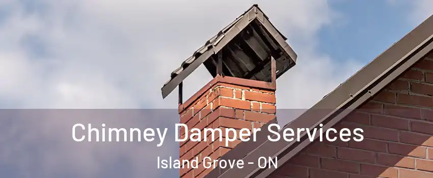  Chimney Damper Services Island Grove - ON