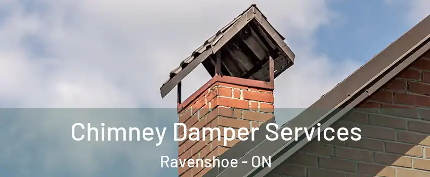  Chimney Damper Services Ravenshoe - ON