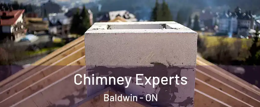  Chimney Experts Baldwin - ON