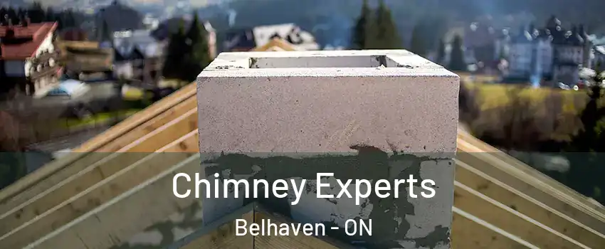  Chimney Experts Belhaven - ON