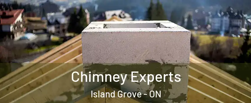  Chimney Experts Island Grove - ON