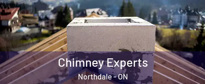  Chimney Experts Northdale - ON