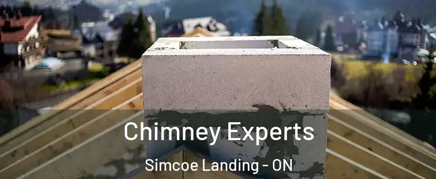  Chimney Experts Simcoe Landing - ON