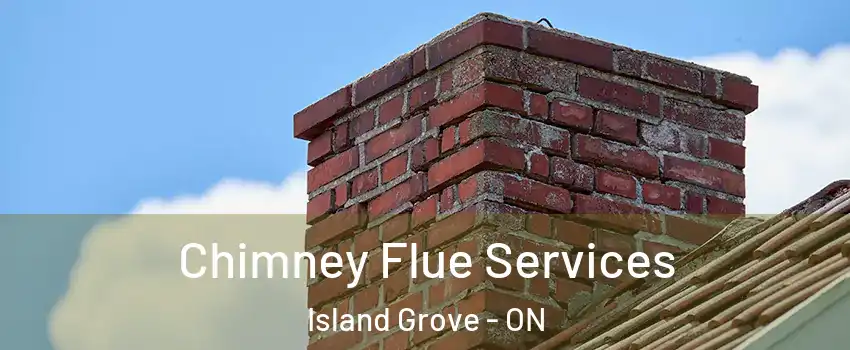  Chimney Flue Services Island Grove - ON