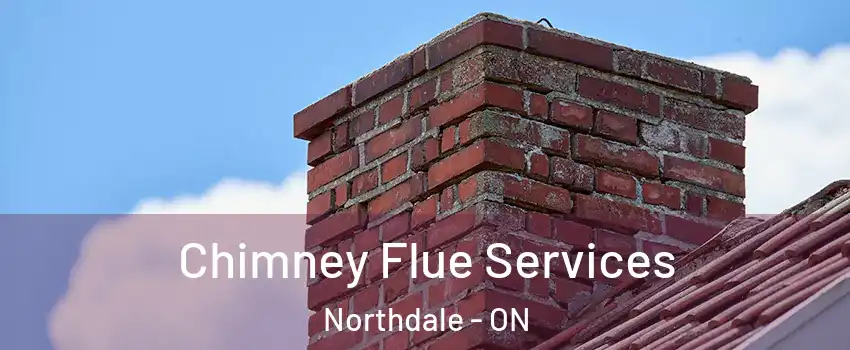  Chimney Flue Services Northdale - ON
