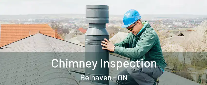  Chimney Inspection Belhaven - ON