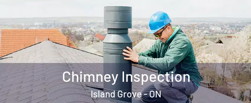  Chimney Inspection Island Grove - ON