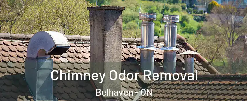  Chimney Odor Removal Belhaven - ON