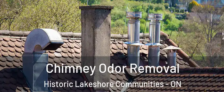  Chimney Odor Removal Historic Lakeshore Communities - ON
