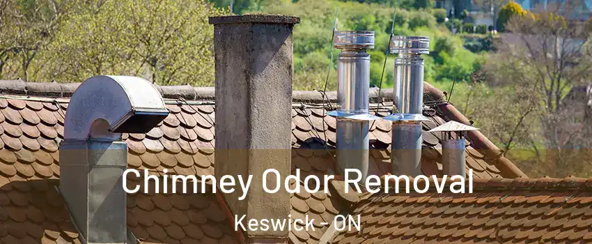  Chimney Odor Removal Keswick - ON