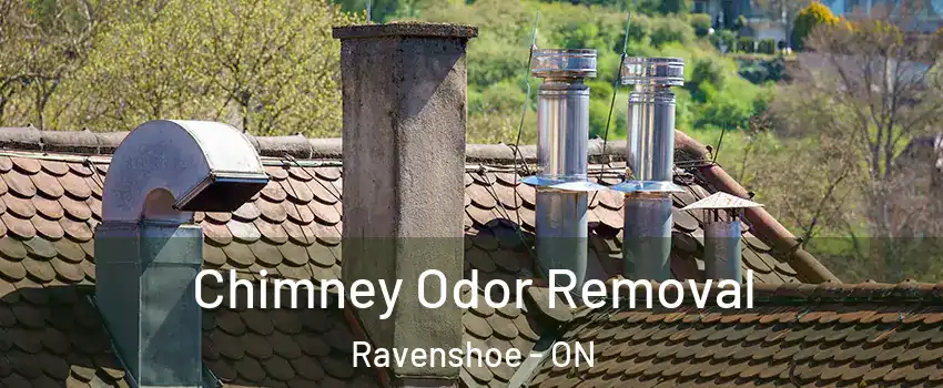  Chimney Odor Removal Ravenshoe - ON