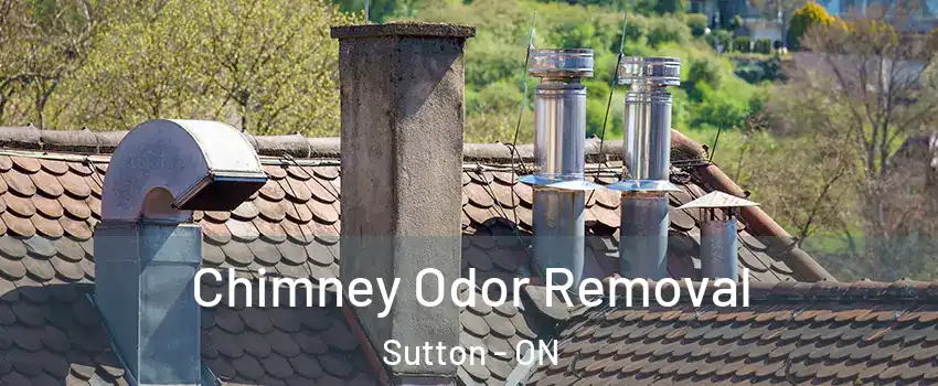  Chimney Odor Removal Sutton - ON