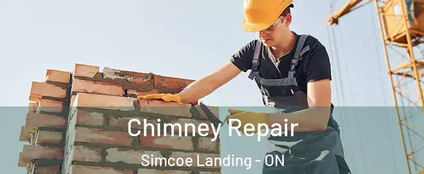  Chimney Repair Simcoe Landing - ON