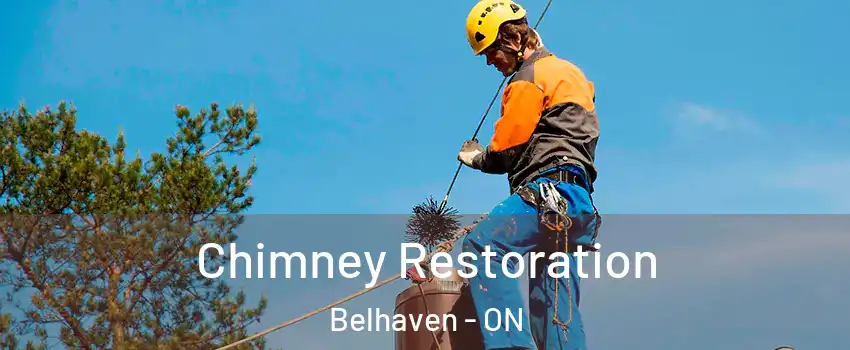  Chimney Restoration Belhaven - ON
